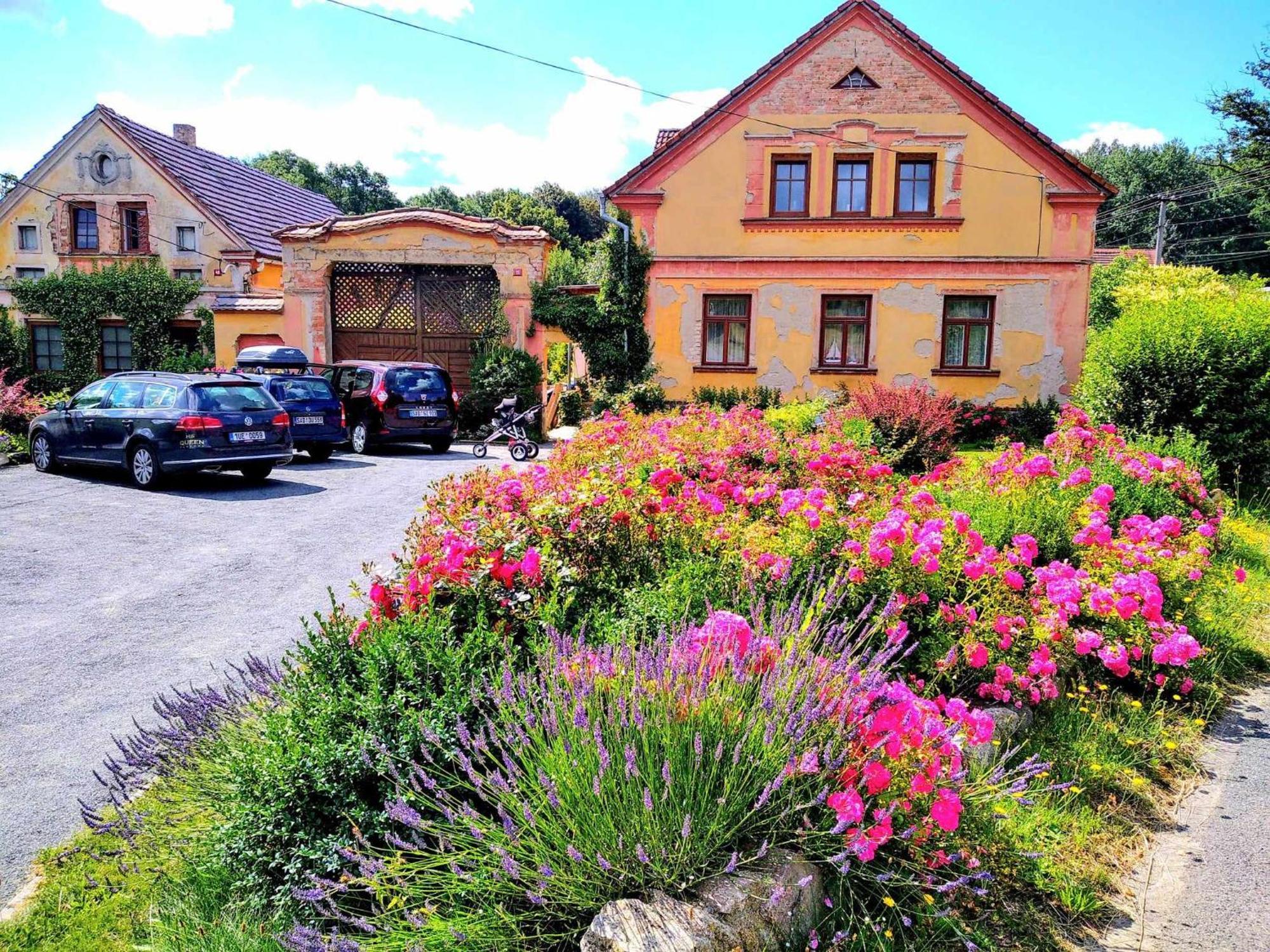 Apartmany Kosov 1 Bor Buitenkant foto
